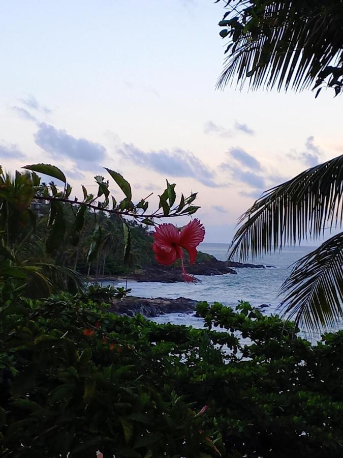 Na Da Tiririca Lodge Itacaré