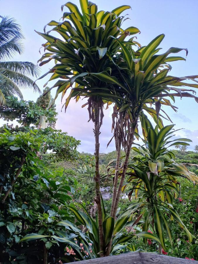 Lodge Na Da Tiririca *