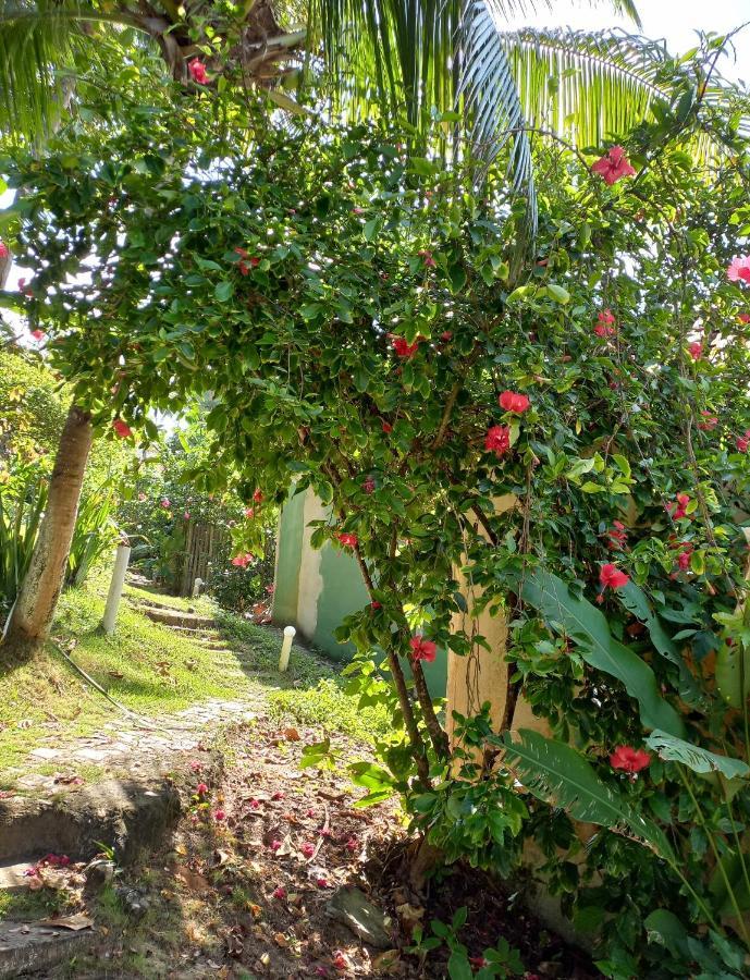 Na Da Tiririca Lodge Itacaré