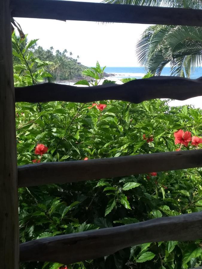 Alojamento de Turismo Selvagem Chale Na Da Tiririca *