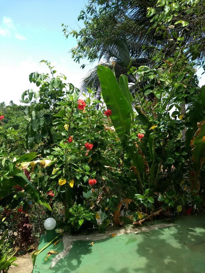 Lodge Na Da Tiririca *