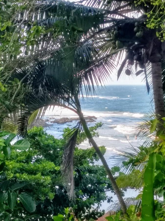 Chale Na Da Tiririca Lodge *