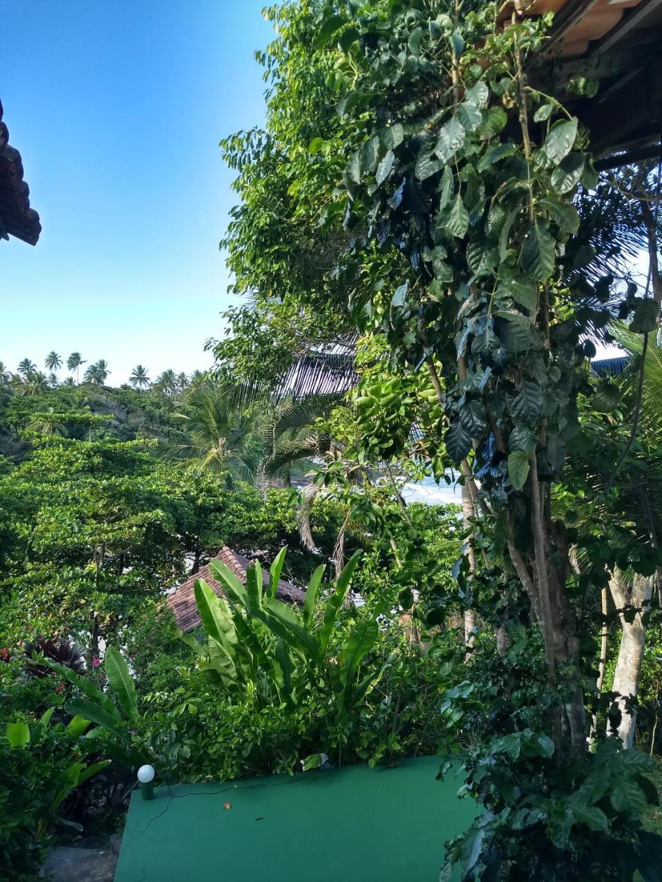 Chale Na Da Tiririca Lodge Itacare